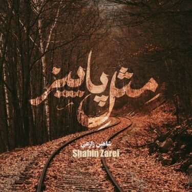 دانلود آهنگ جدید شاهین زارعی مثل پاییز